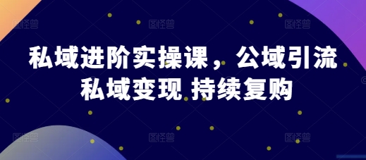 私域进阶实操课，公域引流 私域变现 持续复购-我爱发帖