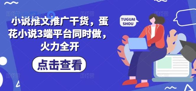 小说推文推广干货，蛋花小说3端平台同时做，火力全开-我爱发帖