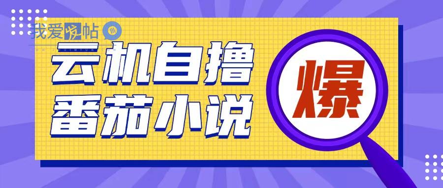 首发云手机自撸小说玩法，10块钱成本可撸200+收益操作简单【揭秘】-我爱发帖