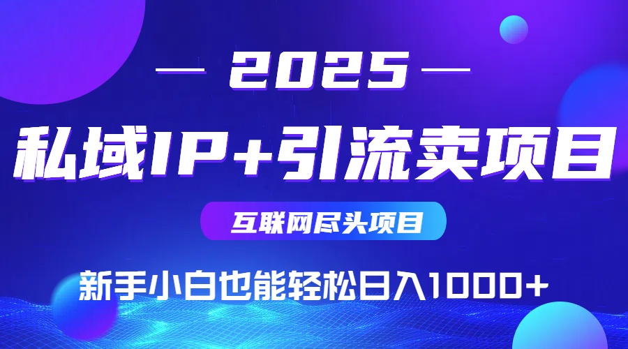 2025网创尽头项目，私域IP+引流，新手小白也能在家日入1000+-我爱发帖