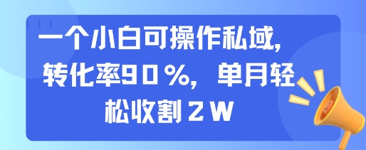 一个小白可操作私域，转化率90%，单月轻松收割2W-我爱发帖