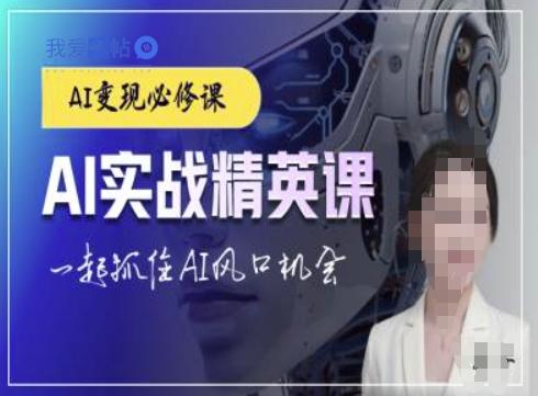 AI实战精英课，chatgptAI实战教程，一起抓住AI风口的机会-我爱发帖