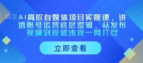 AI高阶自媒体项目实操课，讲透账号运营底层逻辑，从发布视频到规避违规一网打尽-我爱发帖
