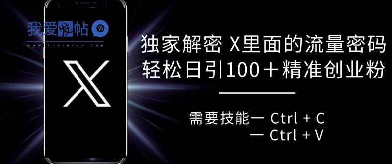 独家解密 X 里面的流量密码，复制粘贴轻松日引100+-我爱发帖
