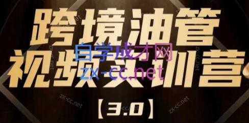 阿蔺Leo·跨境油管视频YouTube实训营(更新2025)-我爱发帖