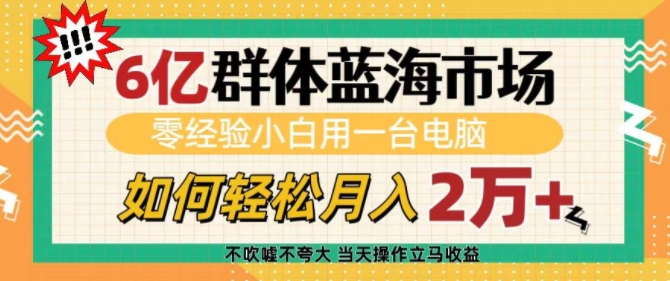 6亿群体蓝海市场，零经验小白用一台电脑，如何轻松月入过w【揭秘】-我爱发帖