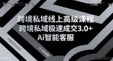 跨境私域线上高级课程，跨境私域极速成交3.0+Ai智能客服-我爱发帖
