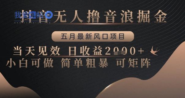 抖音无人撸音浪掘金，五月最新风口项目，当天见效，日收益多张，小白可做简单粗暴可矩阵【揭秘】-我爱发帖
