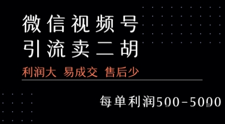 视频号卖二胡教程，利润大 易成交 售后少，一单利润5张+-我爱发帖