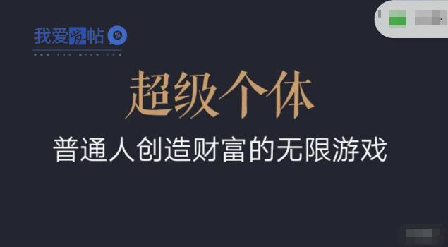 超级个体2024-2025翻盘指南，普通人创造财富的无限游戏-我爱发帖