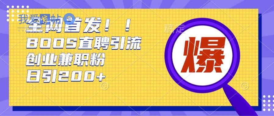 通过Boss直聘，每天轻松钓到200+多条创业大鱼的秘籍【揭秘】-我爱发帖