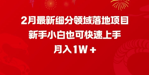 2月最新细分领域落地项目，新手小白也可快速上手，月入1W-我爱发帖