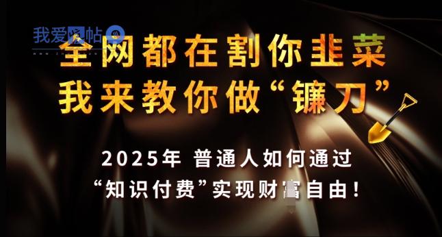 全网都在割你韭菜，我来教你做镰刀，2025年普通人如何通过 知识付费 实现财F自由【揭秘】-我爱发帖
