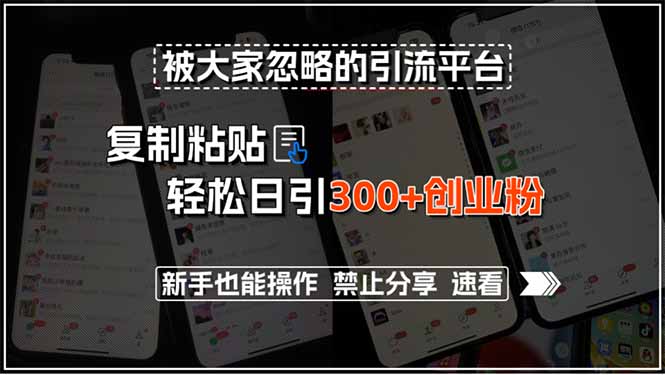 被大家忽略的引流平台，复制粘贴轻松日引300+创业粉，新手也能操作，禁…-我爱发帖