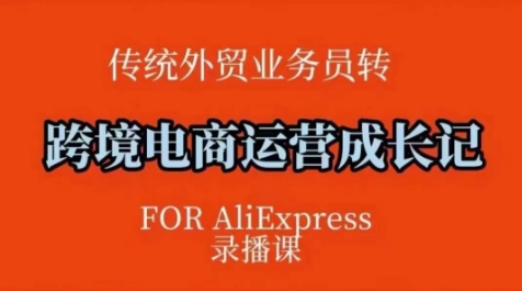 跨境电商速卖通运营课，​运营方法论+后台实操，逻辑清晰-我爱发帖