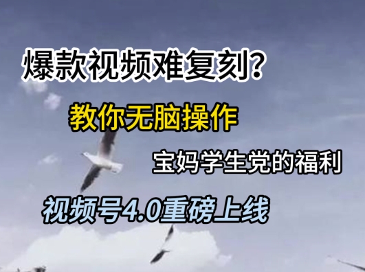 视频号4.0重磅上线，爆款视频难复刻？教你无脑操作宝妈学生党的福利【揭秘】-我爱发帖