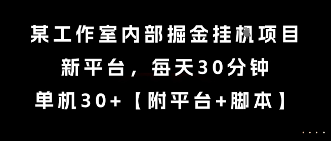某工作室内部掘金挂G项目，新平台，每天30分钟，单机30+【揭秘】-我爱发帖