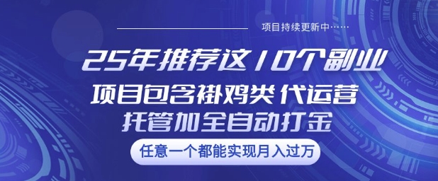 25年推荐这10个副业项目包含褂鸡类、代运营托管类、全自动打金类【揭秘】-我爱发帖