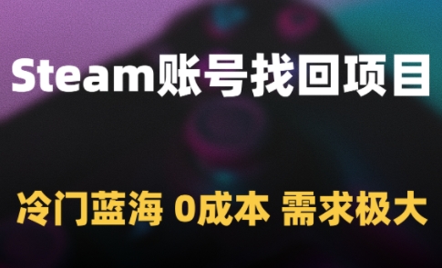 Steam账号找回项目，冷门蓝海，0成本，需求极大-我爱发帖