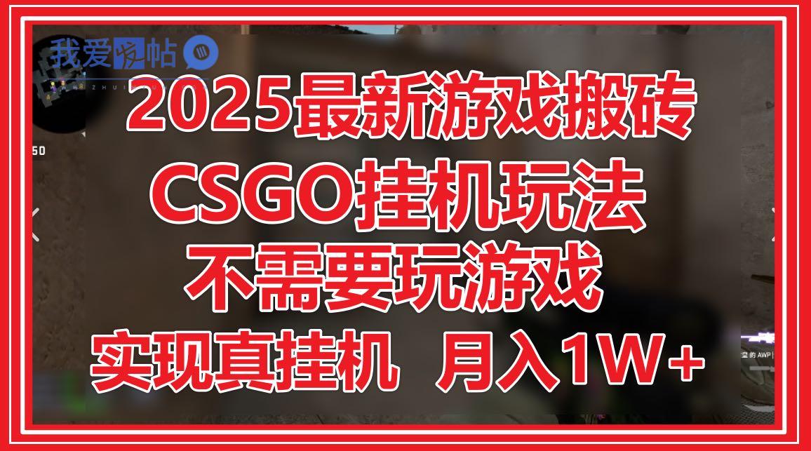 2025最新游戏搬砖，CSGO挂机，不需要玩游戏，实现真挂机，月入1W+-我爱发帖