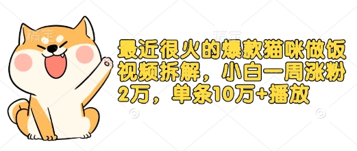 最近很火的爆款猫咪做饭视频拆解，小白一周涨粉2万，单条10万+播放(附保姆级教程)-我爱发帖