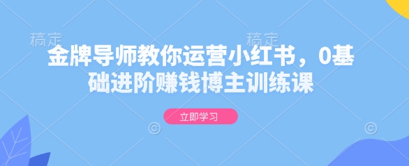 金牌导师教你运营小红书，0基础进阶赚钱博主训练课-我爱发帖