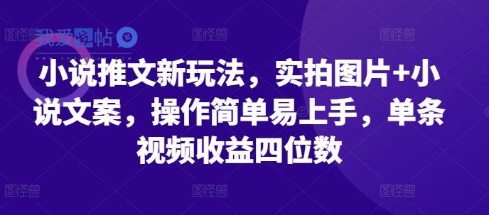 小说推文新玩法，实拍图片+小说文案，操作简单易上手，单条视频收益四位数-我爱发帖