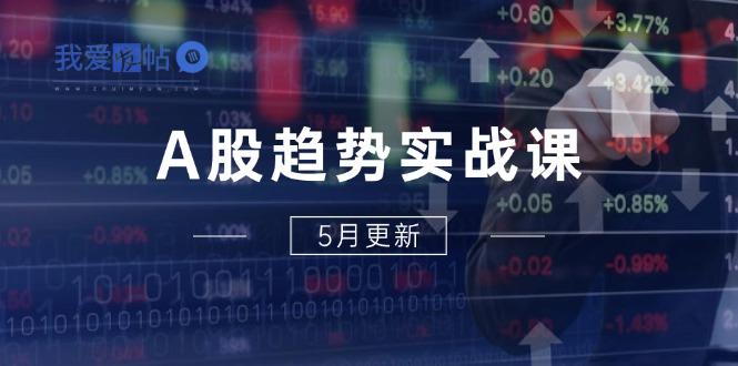 A股趋势实战课：主力动向+政策红利，2025全年策略5月更新-我爱发帖