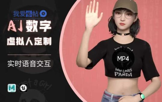 Ai数字人虚拟(智能体)实时语音交互特训营，​自行定制超写实角色AI数字人交互技术-我爱发帖