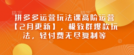 拼多多运营玩法课高阶运营【2月更新】，极致群爆款玩法，轻付费无尽复制等-我爱发帖