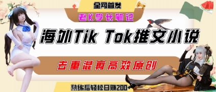 海外tiktok小说推文暴力项目，高停留率，高转化率，上手后一天搞顿饭钱不是问题-我爱发帖