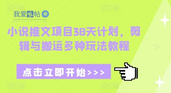 小说推文项目38天计划，剪辑与搬运多种玩法教程-我爱发帖
