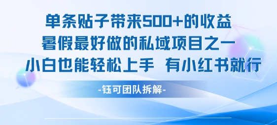 单条贴子带来5张的收益，暑假最好做的私域项目之一，小白也能轻松上手，有小红书就行-我爱发帖