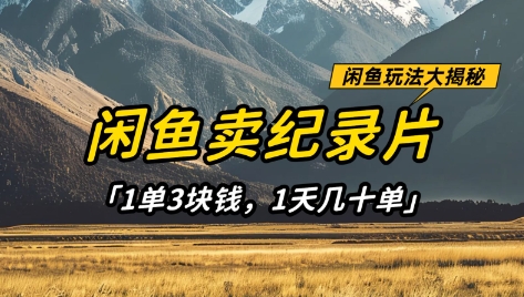 闲鱼卖纪录片1单3块钱，1天几十单，项目稳定有潜力-我爱发帖