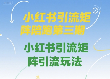 小红书引流矩阵陪跑第三期，小红书引流矩阵引流玩法-我爱发帖