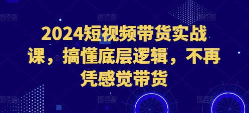 2024短视频带货实战课，搞懂底层逻辑，不再凭感觉带货-我爱发帖
