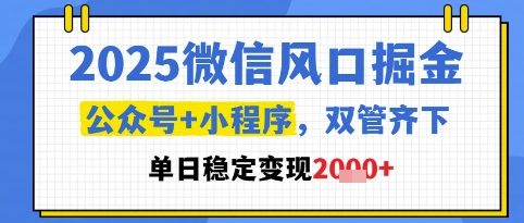2025微信风口掘金，公众号+小程序双管齐下，单日稳定变现1k+【揭秘】-我爱发帖