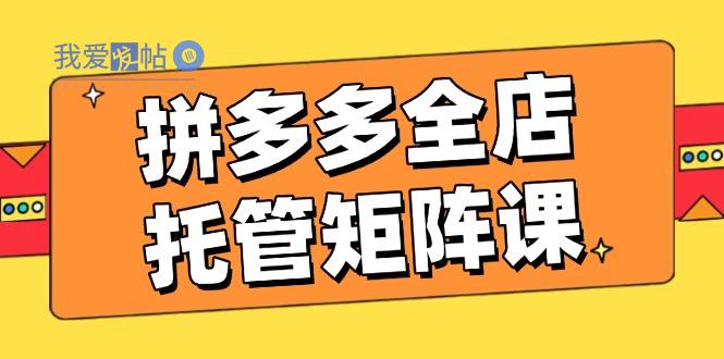 拼多多全店托管矩阵课，盈利动销玩法，高效计划设置，提升店铺效益-我爱发帖