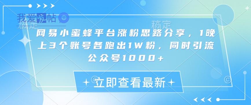 网易小蜜蜂平台涨粉思路分享，1晚上3个账号各跑出1W粉，同时引流公众号1000+-我爱发帖