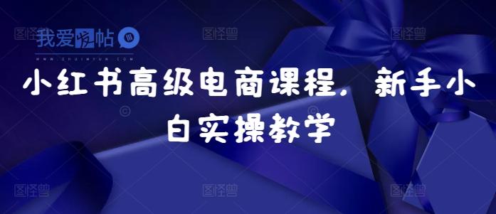 小红书高级电商课程，新手小白实操教学-我爱发帖