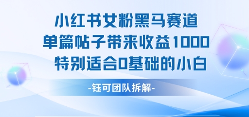 小红书女粉黑马赛道单篇帖子带来收益1k+，特别适合0基础的小白-我爱发帖