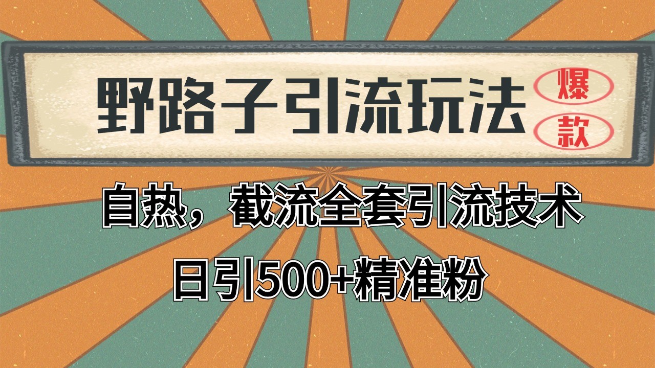 2024首发野路子引流玩法截流自热全平台打法，全自动引流【日引2000+精准客户】-我爱发帖