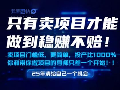 只有卖项目才能做到稳挣不赔，门槛低，更简单，你也可以年入百个W【揭秘】-我爱发帖
