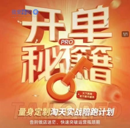 淘宝开单秘籍PRO，量身定制淘天实战陪跑计划，告别做店迷茫、快速突破运营瓶颈期-我爱发帖