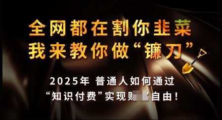 知识付费如何做到月入过W+，2025我来教你做“镰刀”【揭秘】-我爱发帖