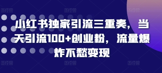 小红书独家引流三重奏，当天引流100+创业粉，流量爆炸不愁变现【揭秘】-我爱发帖