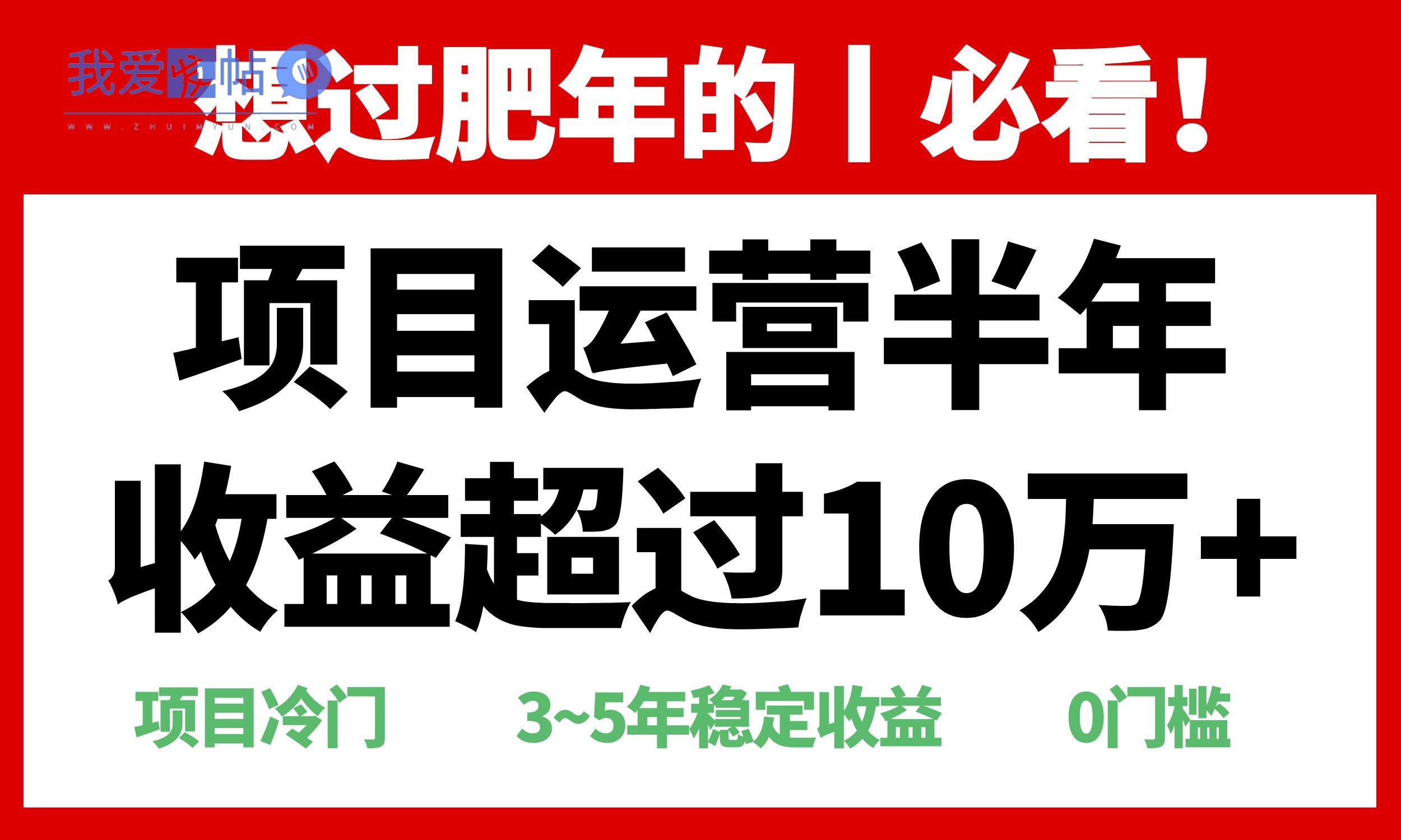 年前过肥年的必看的超冷门项目，半年收益超过10万+，-我爱发帖