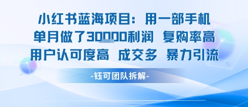 小红书蓝海项目，一部手机单月做了3W利润，小白也能月入过1W用户认可度高成交多-我爱发帖
