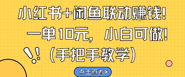 小红书+闲鱼联动挣钱，一单10元，小白可做-我爱发帖