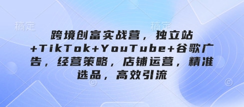 跨境创富实战营，独立站+TikTok+YouTube+谷歌广告，经营策略，店铺运营，精准选品，高效引流-我爱发帖